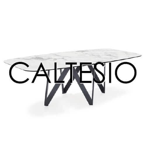CALTESIO2